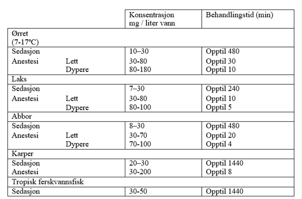 Image: import-1.jpg