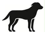 Image: import-1.jpg