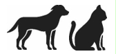 Image: import-1.jpg
