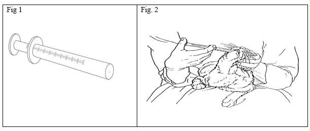 Et bilde som inneholder diagramAutomatisk generert beskrivelse