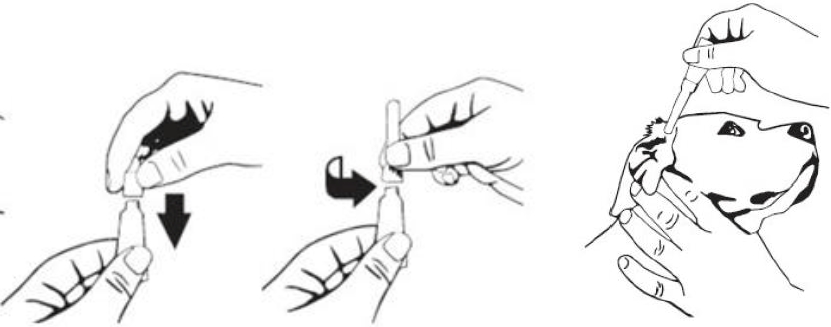 Et bilde som inneholder strektegning, sketch, tegning, illustrasjonKI-generert innhold kan være feil.