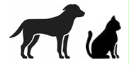 Image: import-1.jpg