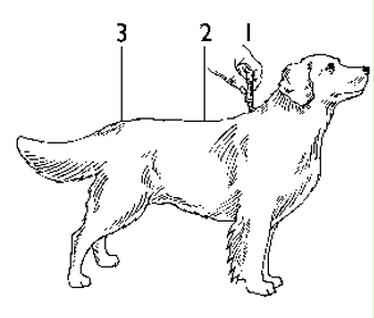 Image: import-5.jpg