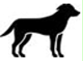 Image: import-1.jpg