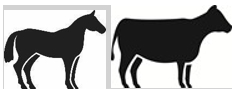 Image: import-1.jpg