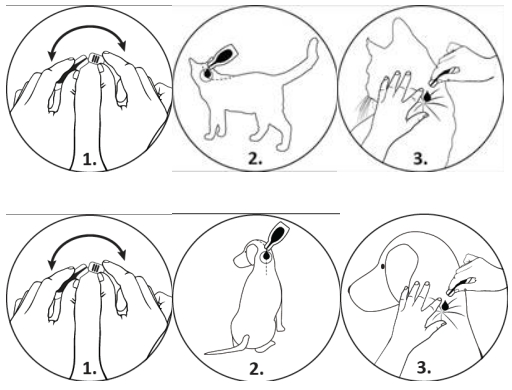 Et bilde som inneholder sketch, strektegning, illustrasjon, clip artKI-generert innhold kan være feil.