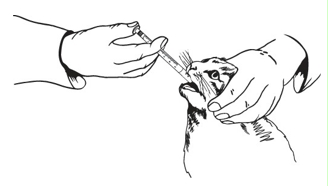 Image: import-1.jpg