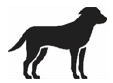 Image: import-1.jpg