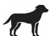 Image: import-1.jpg