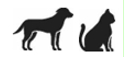 Image: import-1.jpg