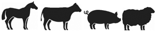 Image: import-1.jpg