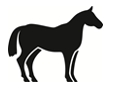 Image: import-1.jpg