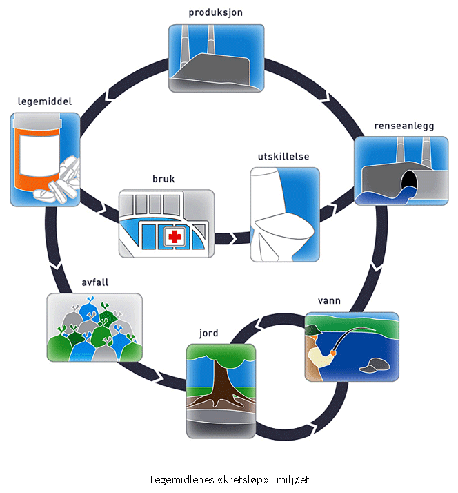 Figur 1: Legemidlenes «kretsløp» i miljøet