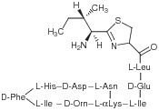 Bacitracin