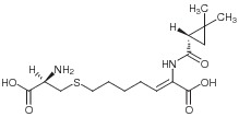 Cilastatin