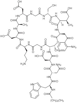 Daptomycin