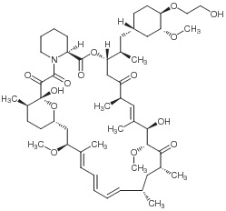 Everolimus