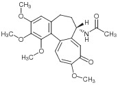 Kolkisin