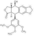 Podofyllotoksin
